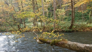 DSC_0117.JPG