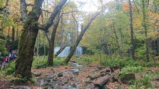 DSC_0130.JPG